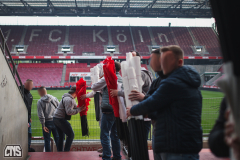 1. FC KÖLN - VFL WOLFSBURG