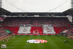 1. FC KÖLN - VFL WOLFSBURG