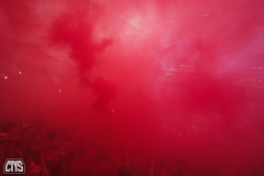 VFB STUTTGART - 1. FC KÖLN