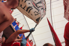 VFB STUTTGART - 1. FC KÖLN