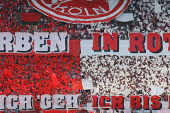 1. FC KÖLN - FC SCHALKE 04