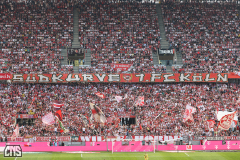 1. FC KÖLN - FC SCHALKE 04