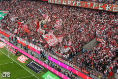 1. FC KÖLN - FC AUGSBURG