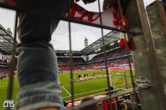 1. FC KÖLN - FC AUGSBURG