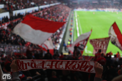FSV MAINZ 05 - 1. FC KÖLN