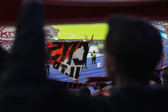 HERTHA BSC - 1. FC KÖLN