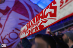 HERTHA BSC - 1. FC KÖLN