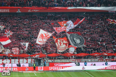 1. FC KÖLN - SV WERDER BREMEN
