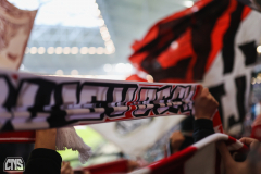 FC SCHALKE 04 - 1. FC KÖLN