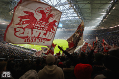 FC SCHALKE 04 - 1. FC KÖLN