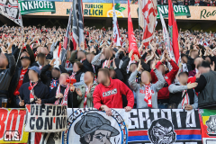 BORUSSIA DORTMUND - 1. FC KÖLN