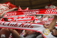 TSG HOFFENHEIM - 1. FC KÖLN