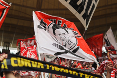 TSG HOFFENHEIM - 1. FC KÖLN
