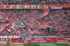 1. FC KÖLN - SC FREIBURG
