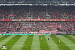 1. FC KÖLN - SC FREIBURG