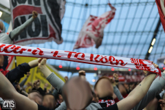 LEVERKUSEN - 1. FC KÖLN
