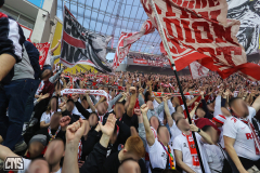 LEVERKUSEN - 1. FC KÖLN