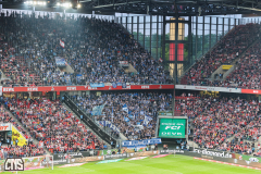 1. FC KÖLN - HERTHA BSC