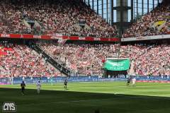 1. FC KÖLN - VFB STUTTGART