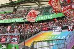 VFL WOLFSBURG - 1. FC KÖLN