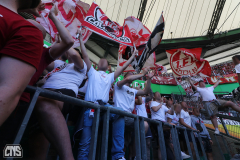 VFL WOLFSBURG - 1. FC KÖLN