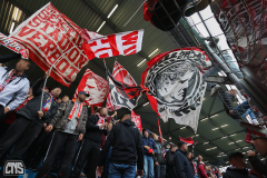 VFL BOCHUM - 1. FC KÖLN