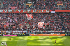 1. FC KÖLN - BORUSSIA DORTMUND