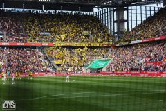 1. FC KÖLN - BORUSSIA DORTMUND