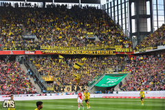 1. FC KÖLN - BORUSSIA DORTMUND