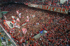 1. FC KÖLN - 1. FC SLOVACKO