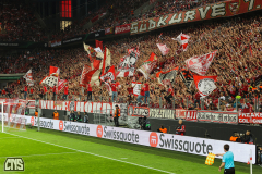 1. FC KÖLN - 1. FC SLOVACKO