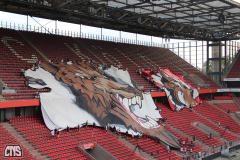 1. FC KÖLN - FEHERVAR FC