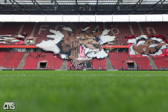 1. FC KÖLN - FEHERVAR FC