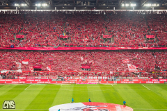 1. FC KÖLN - FEHERVAR FC