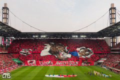 1. FC KÖLN - FEHERVAR FC