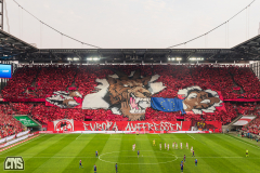 1. FC KÖLN - FEHERVAR FC