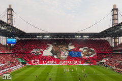 1. FC KÖLN - FEHERVAR FC