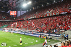 1. FC KÖLN - FEHERVAR FC