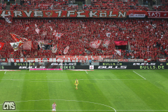 1. FC KÖLN - FEHERVAR FC