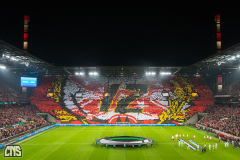 1. FC KÖLN - OGC NICE