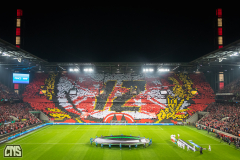1. FC KÖLN - OGC NICE