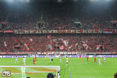 1. FC KÖLN - OGC NICE