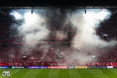 1. FC KÖLN - PARTIZAN BELGRAD