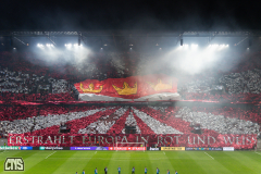 1. FC KÖLN - PARTIZAN BELGRAD