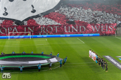 1. FC KÖLN - PARTIZAN BELGRAD