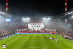 1. FC KÖLN - PARTIZAN BELGRAD