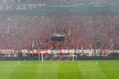 1. FC KÖLN - PARTIZAN BELGRAD
