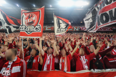 1. FC KÖLN - PARTIZAN BELGRAD