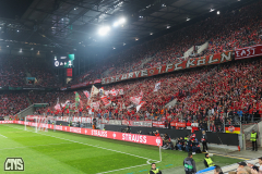 1. FC KÖLN - PARTIZAN BELGRAD