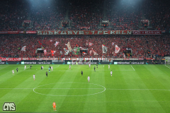 1. FC KÖLN - PARTIZAN BELGRAD